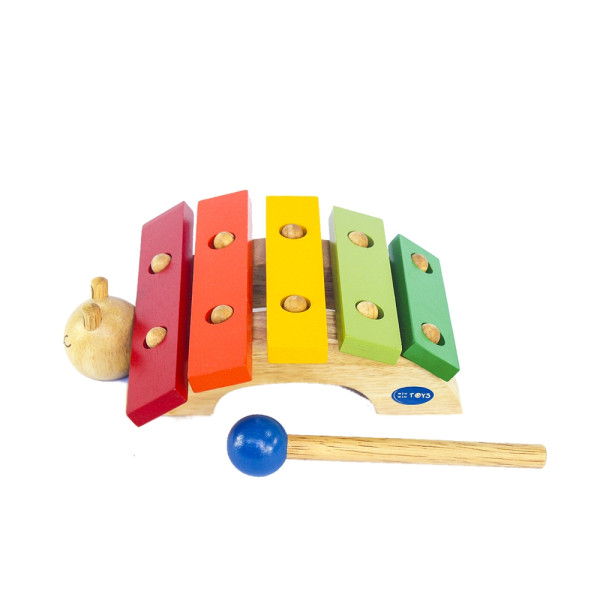 Đàn hình rùa (62062)